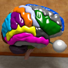 Ultimate Human Brain